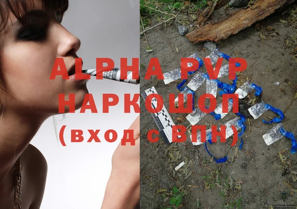 крисы Кулебаки