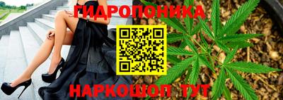 наркотики Малгобек