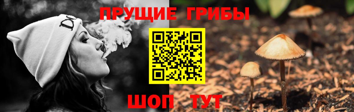 Элиста  Псилоцибиновые грибы прущие грибы  Вход с VPN 