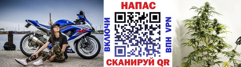 купить   Элиста  Канабис OG Kush 